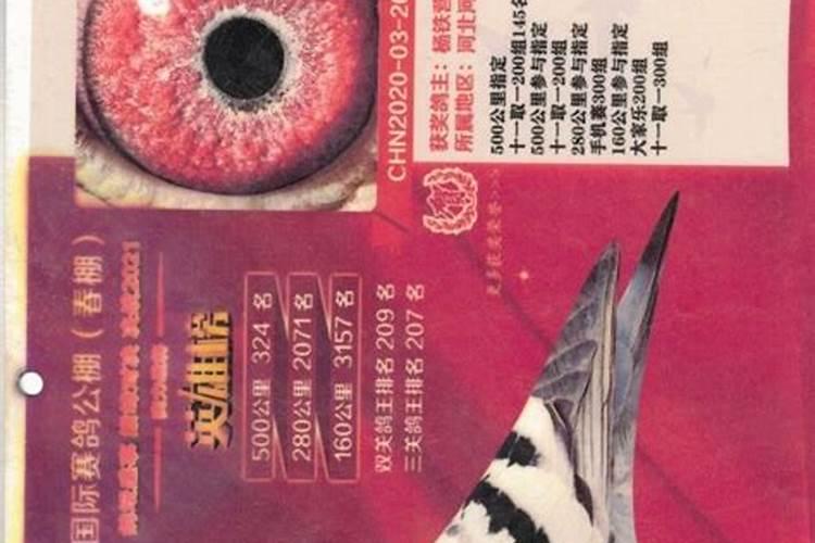 梦见姥姥请我去吃饭的预兆