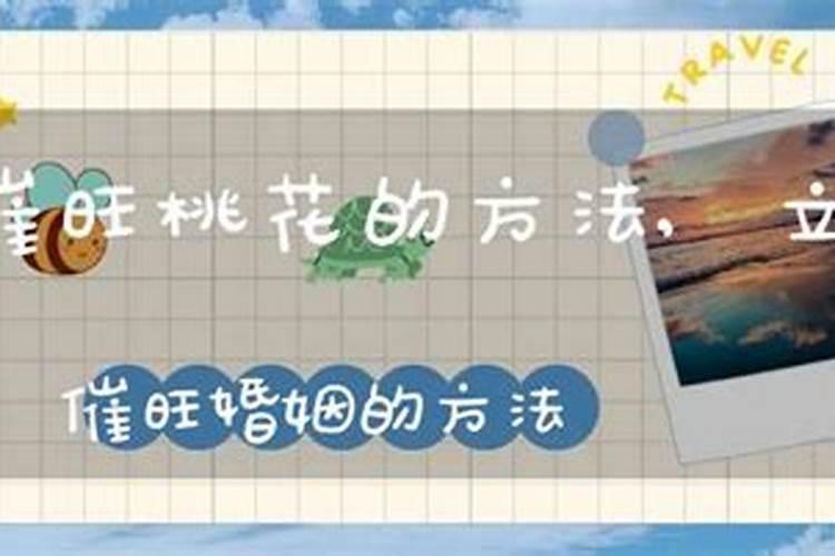 78年的马2025年运势