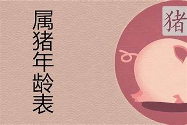 2025属猪人的全年运势
