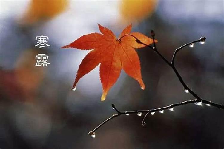 做梦梦到很多黑蚂蚁是什么意思