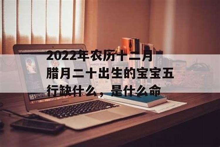 请帮我算下,阴历92年12月20日,早上6月20左右是什么命？谢谢