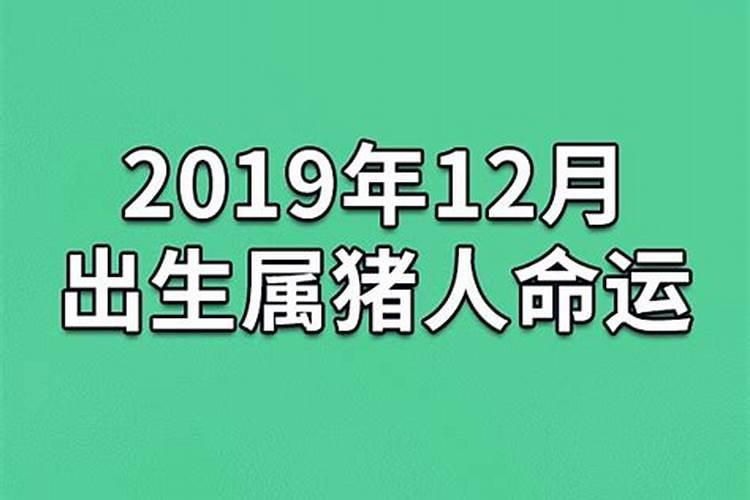本命年属虎男的穿什么转运