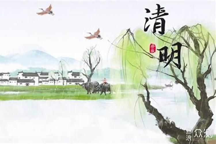 清明节这天的禁忌