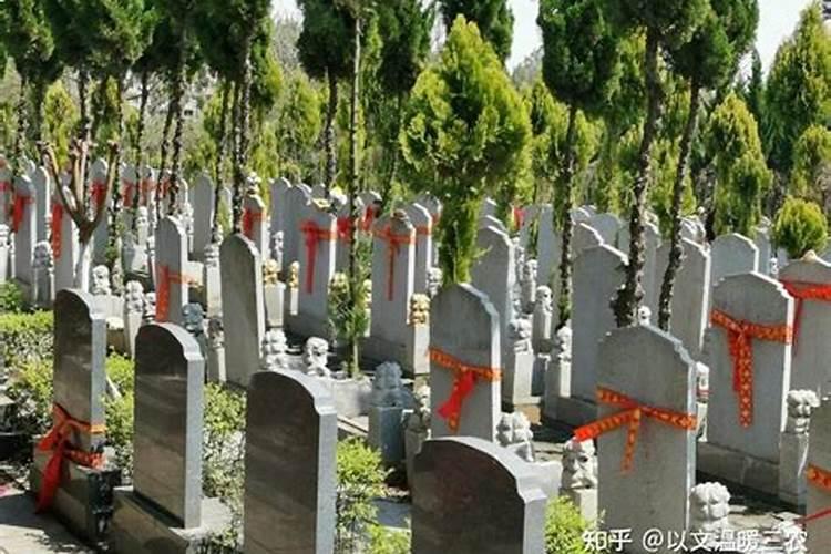 冬至大过年是哪里的说法 冬至大过年什么意思