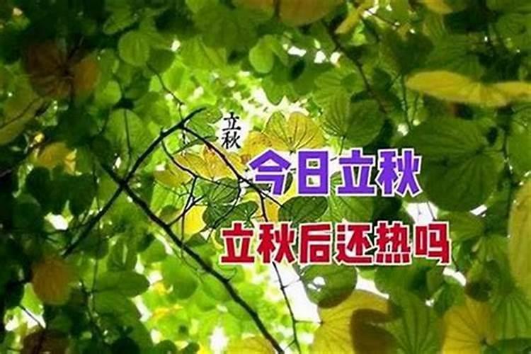 1990年属马女2025年运势