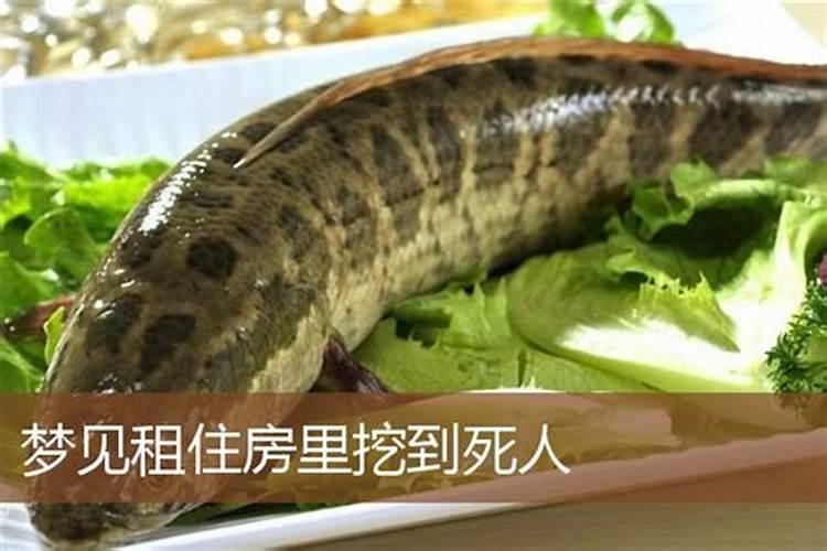 梦到我租的出租屋里床里有死人