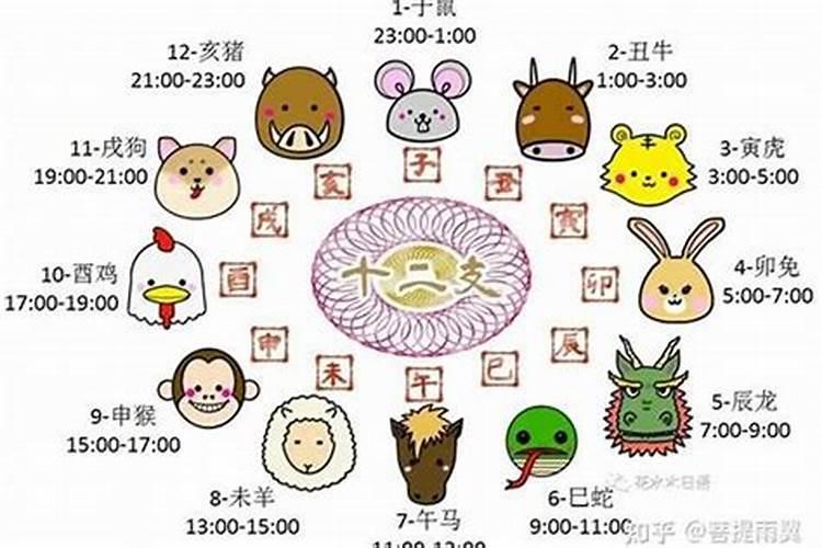 2025年是属什么年犯太岁