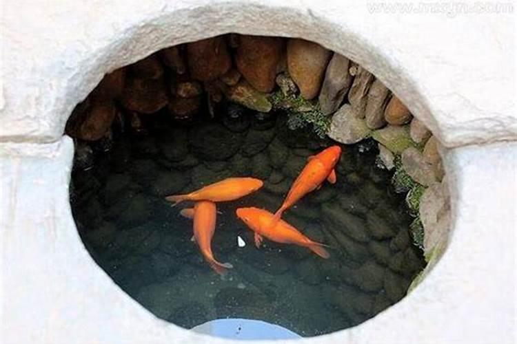 梦见水井冒清水的预兆