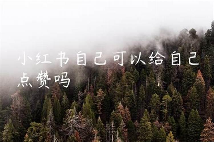 属猪的和什么属相配 相克