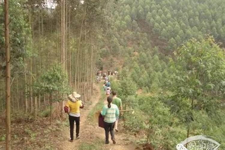 梦见前妻跟现在的妻子的预兆