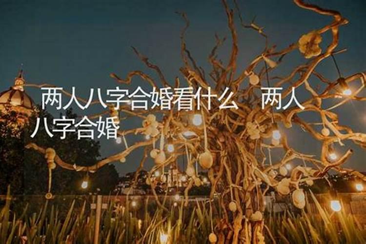 北纬20度夏至日日影如何变化？