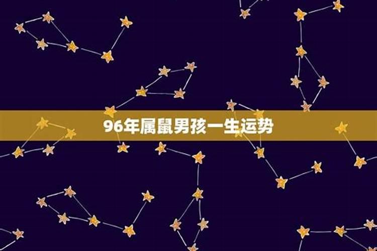生肖看运势准吗？