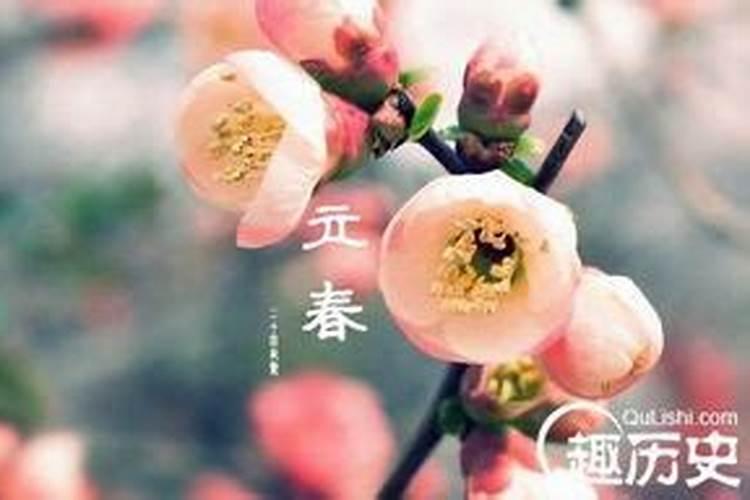 一九八一年立春是哪天