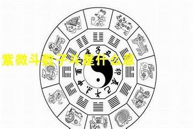 八字排盘怎么排的