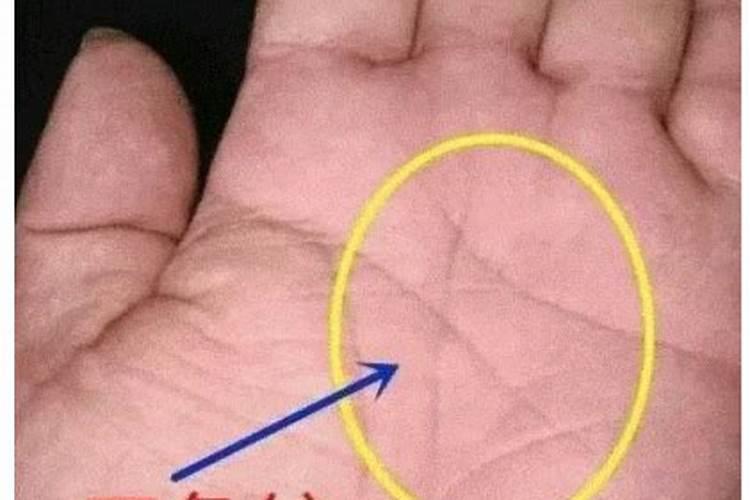 用新字取名 有新字的名称推荐？