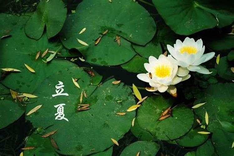 生辰八字看阳宅环境与风水