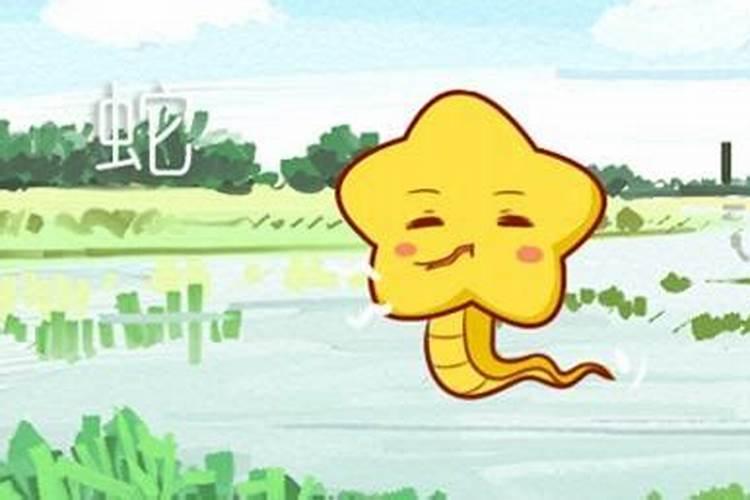 春节祭祖的具体流程介绍