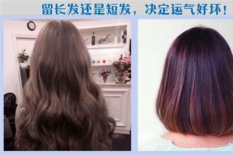梦见已故朋友的坟墓