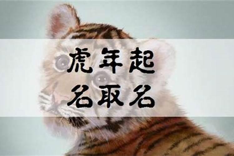 山东大学放假时间2025