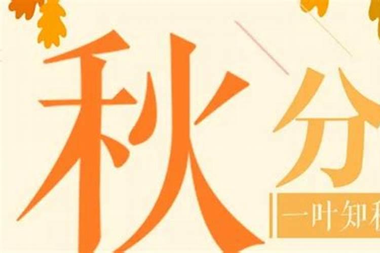 属马25年犯太岁吗