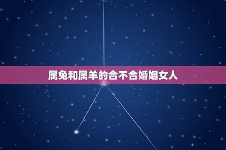 属羊和属兔的合不合