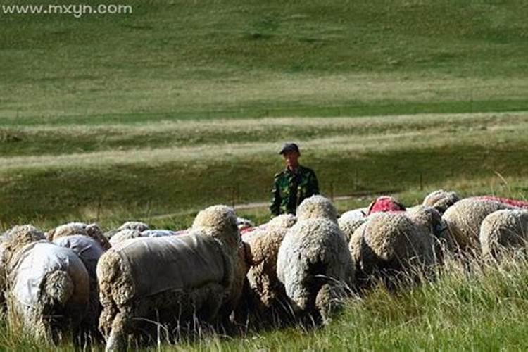 84年属鼠女在2025年每月运势