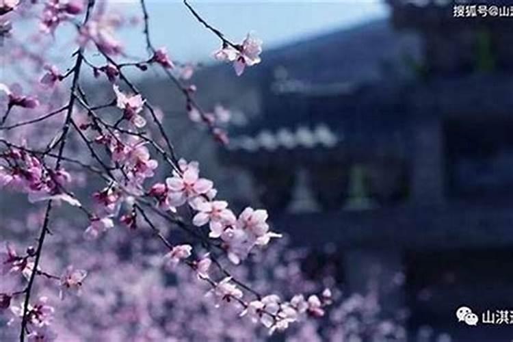 八字合婚有三合什么意思 三合就是三个生肖的吉配？