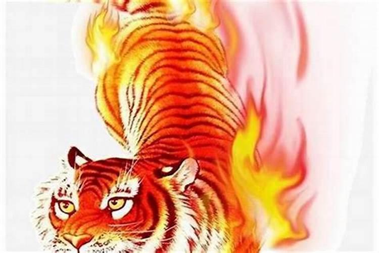 生肖虎2025年运势 属虎2025年运势及运程