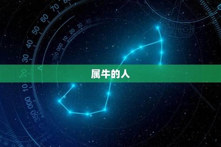 1985年属牛是金命还是木命 一生运势详解？