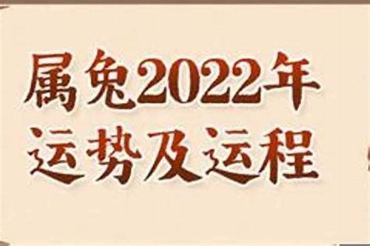 1975属兔女在2025年的每月运势