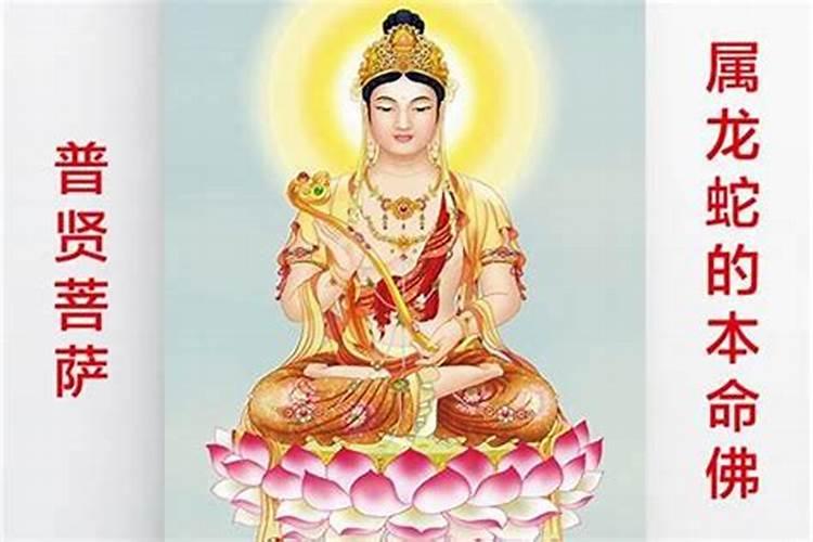 什么是本命佛？奉请本命佛要注意哪些？