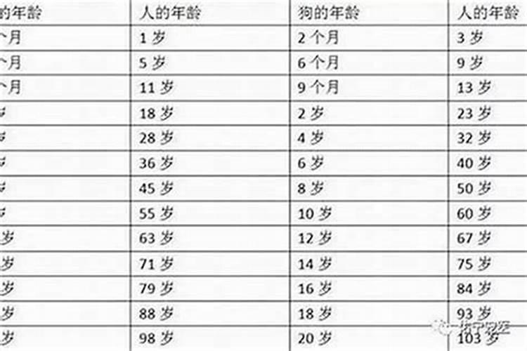 怎么知道自己的本命年