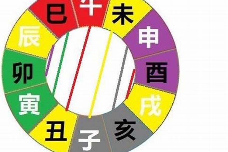 属猪的蛇年犯太岁吗