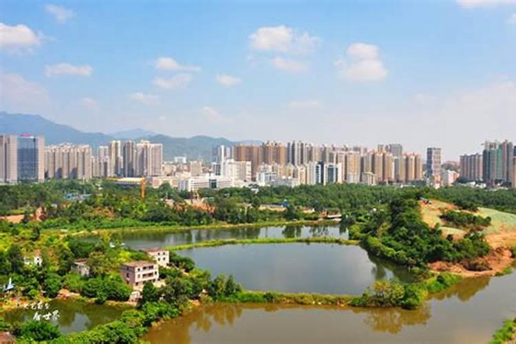 惠州冬至吃什么