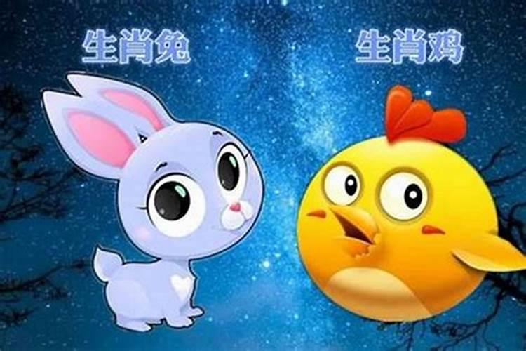 免费算婚姻:属兔男与属鸡女的婚姻好吗 八字合财吗