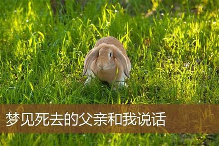 梦见爸爸与我说话的预兆