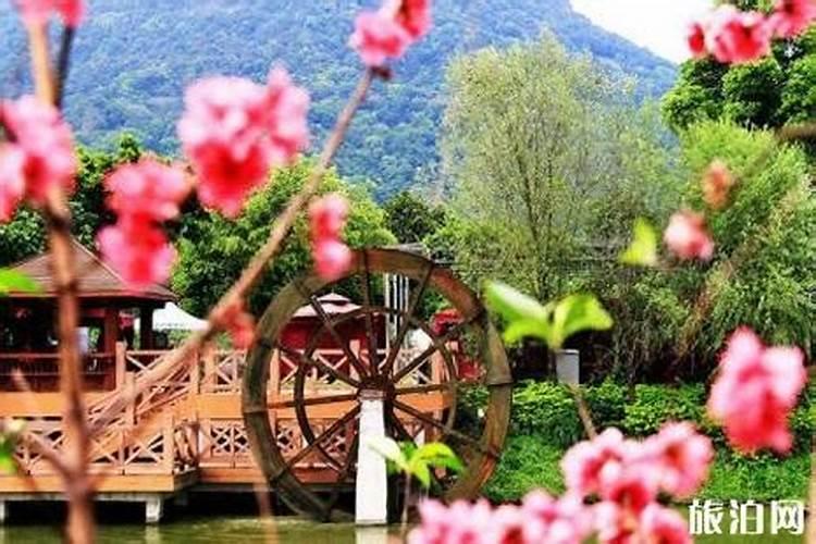 清明节广东适合去哪里旅游