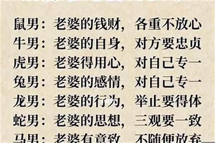 82年属狗人2025运势运程