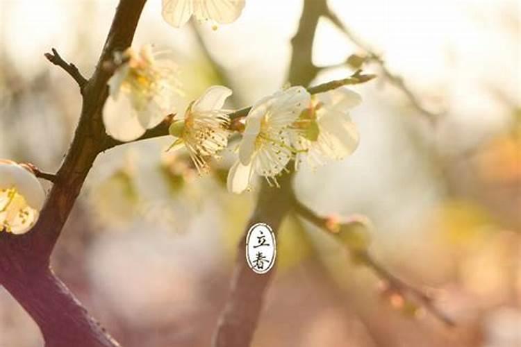 徐州公交秋季票价几月几日开始