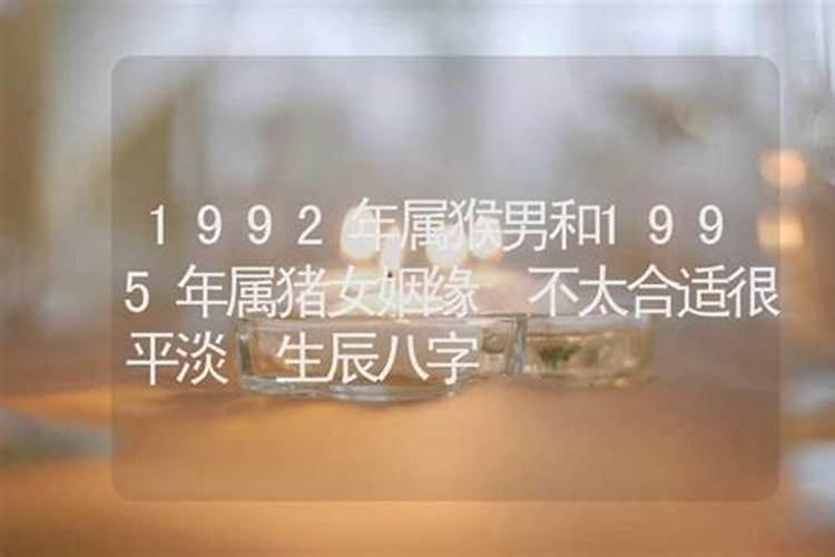 1995年属猪的2025年运势