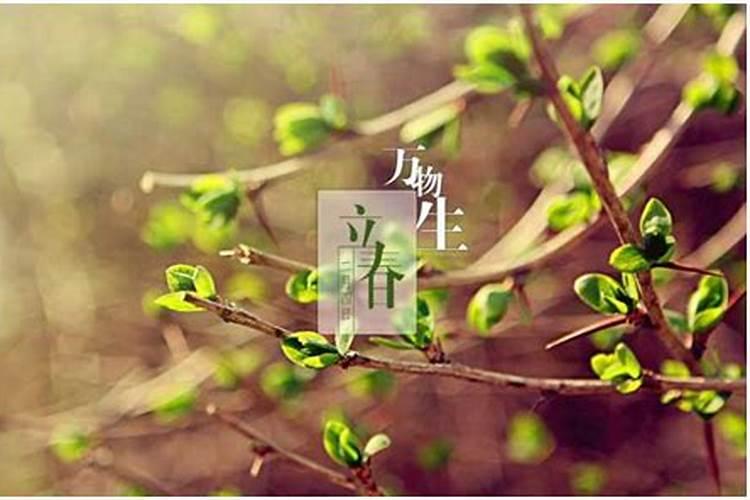 生肖兔2025年运势及运程如何