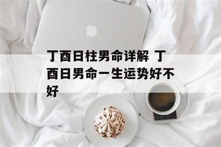 梦到马蜂窝预示着什么