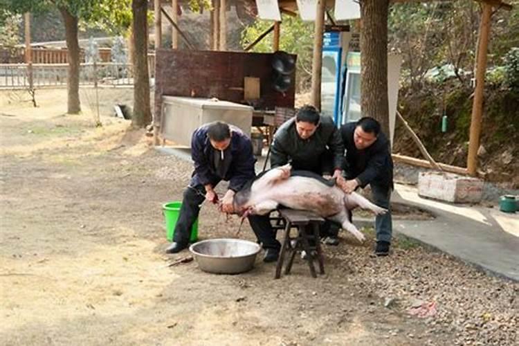 生肖羊1991年2025年运势如何 生肖羊1991年2025年全年运势