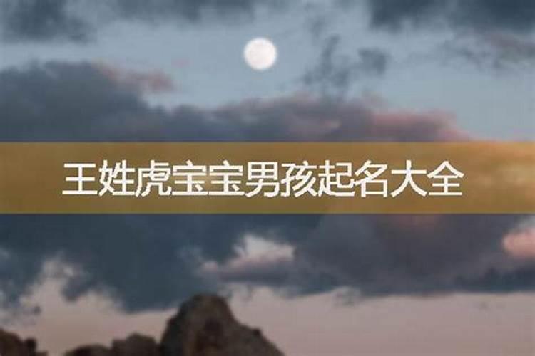 属蛇人2025年每月运势及全年运程