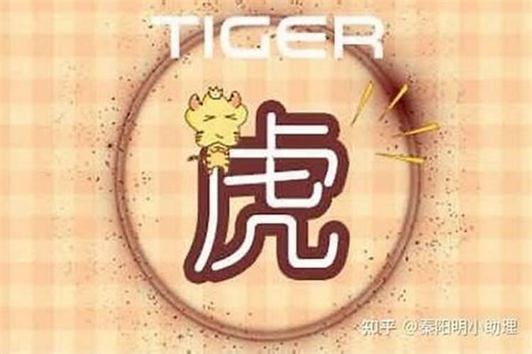 八字合多的女命是美女吗漂亮柔美气质佳