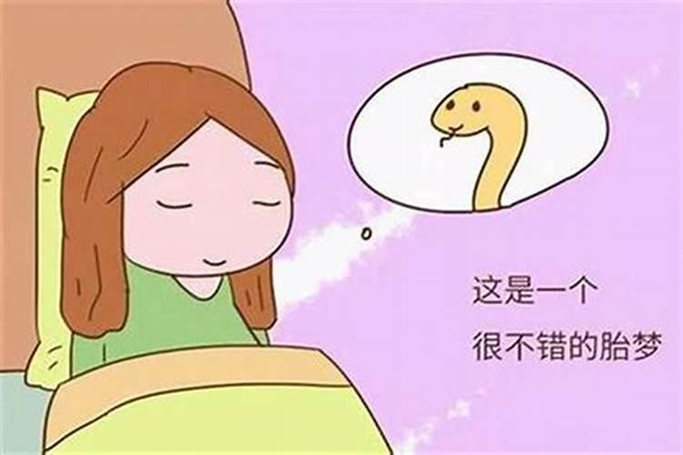 怀孕梦见蛇和鱼是什么意思