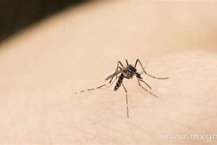 大年初一当天地铁能否正常开启进行运营