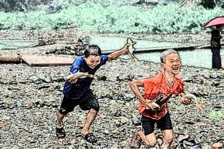查生辰八字几斤几两免费