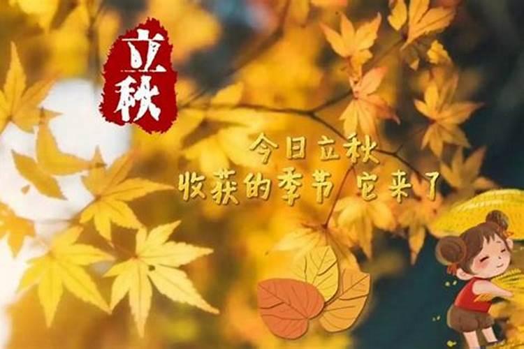 属马人2025年全年运势运程