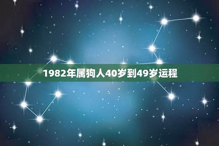 属狗1981年做什么生意最旺
